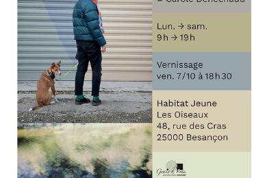 Expositions